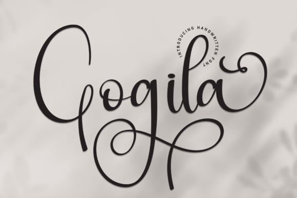 Discovering the Warmth of the Gogila Typeface